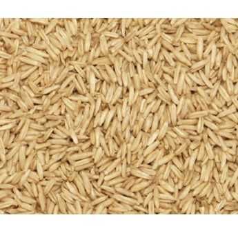 Owies z tegorocznych zbiorów 2025