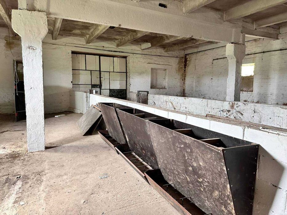 Продаж свиноферми 960м2, 20кВт в с.Великополовецьке