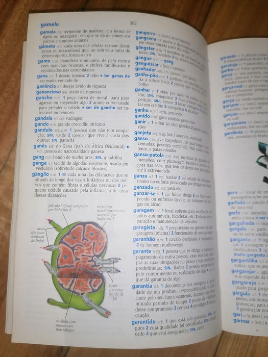 Dicionário Ilustrado da Língua portuguesa da Porto Editora