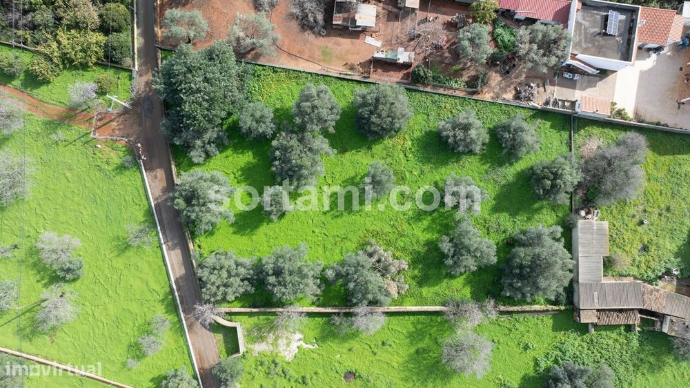 Terreno Para Construção  Venda em Loulé (São Sebastião),Loulé