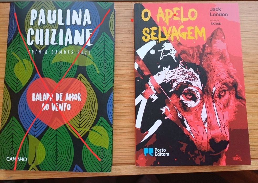 Livros de autores internacionais (a partir de 6€)