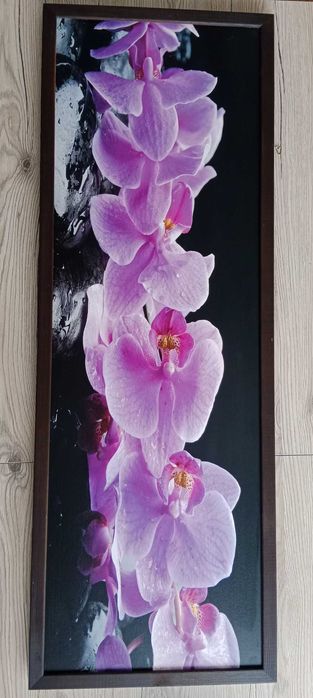 Obraz Storczyki 93cm x 33cm