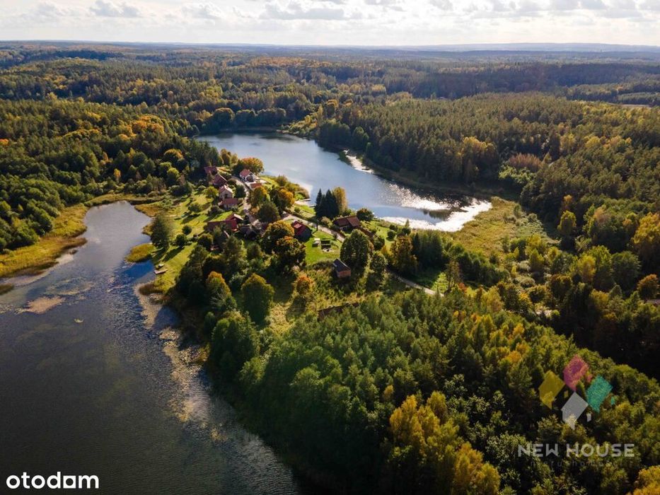 Dłużki, siedlisko nad jez. Dłużek