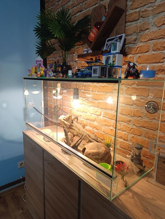 Terrarium dla zwierzątka
