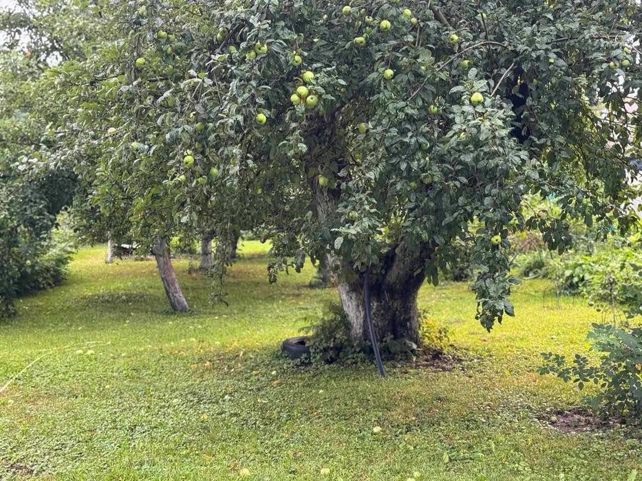 Ділянка під приватний будинок м. Буча
