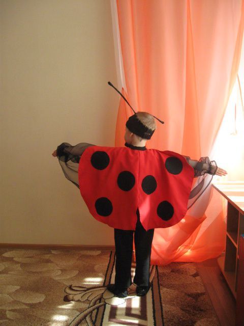 Прокат Костюм Божьей коровки жука жучка  новогодний божа корівка