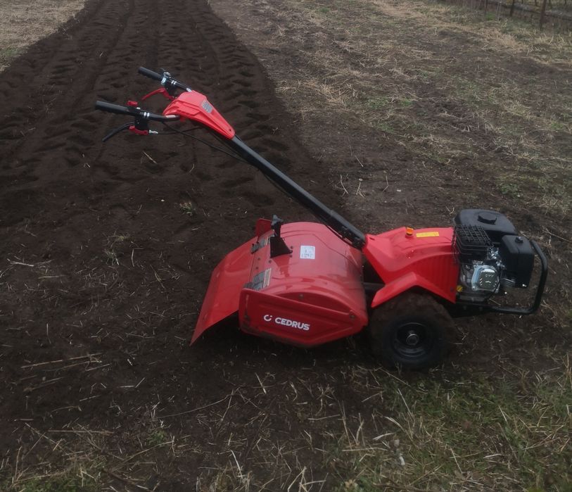 Wycinka drzew, koszenie, usługi glebogryzarką Ogrody od a do z