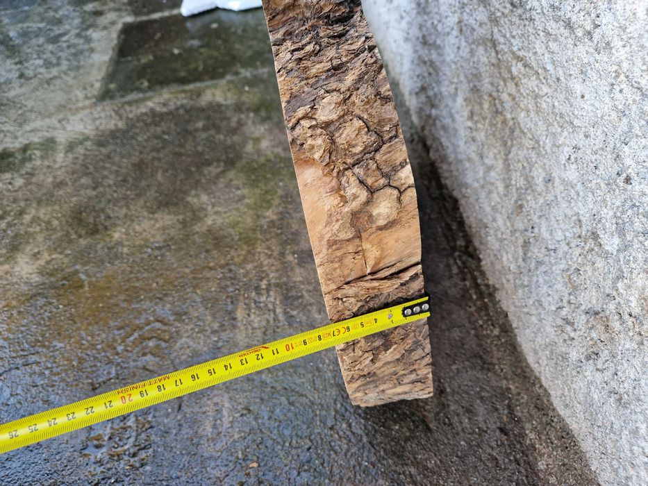 Grande Rodela de Oliveira, madeira maciça, lixada e aplainada