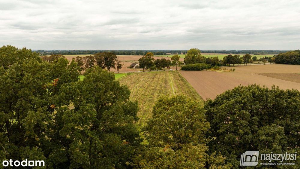 Maszewo-Wisławie - działka rolno-budowlana 748 m² - Widok 3