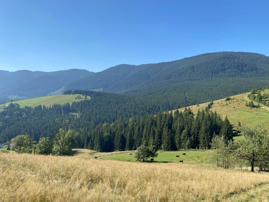 Земля під екопоселення 26 гектарівів