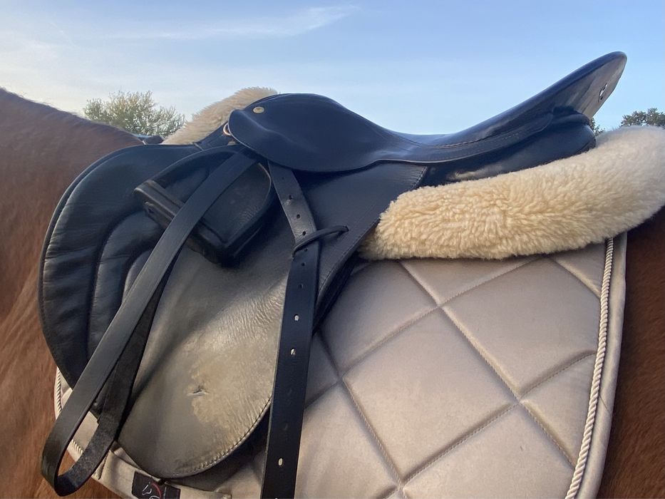 Siodło wszechstronne