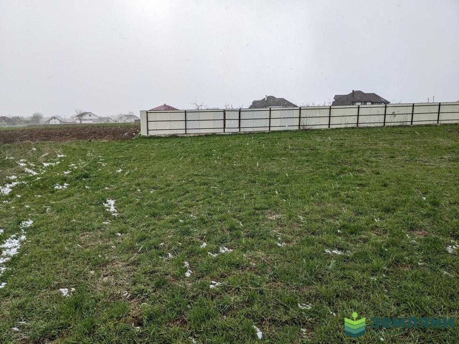 Продаж землі 33,95 соток в с.Клубівці під ОСГ (5)