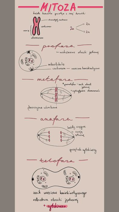 Notatki maturalne biologia rozszerzona pdf
