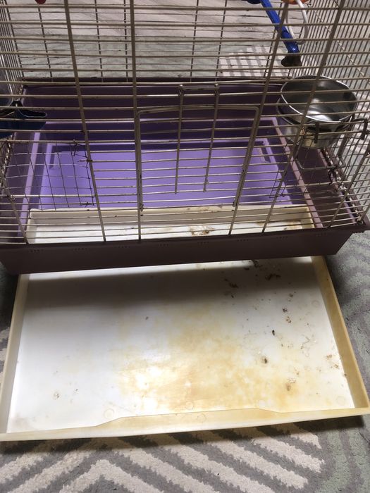 Клетка для попугая б/у