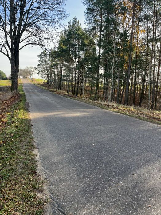 Działki z zabudową jednorodzinną blisko jeziora.