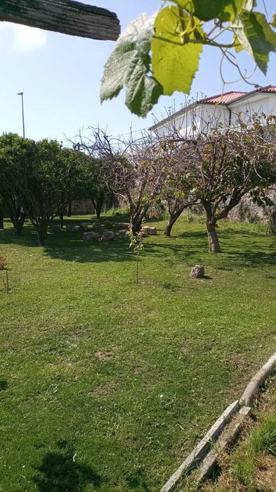 Rui Dias - Jardinagem e Limpeza de Terrenos