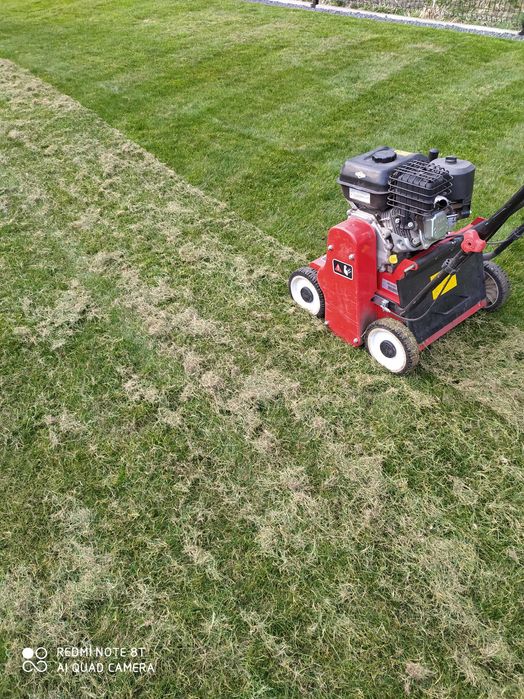 Usługi ogrodnicze, wertykulacja trawnika