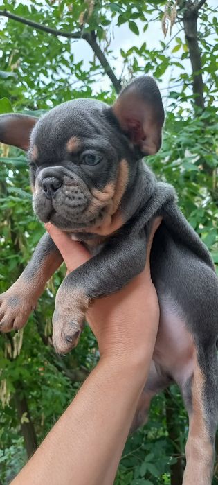 Супер мальчик ждёт Вас