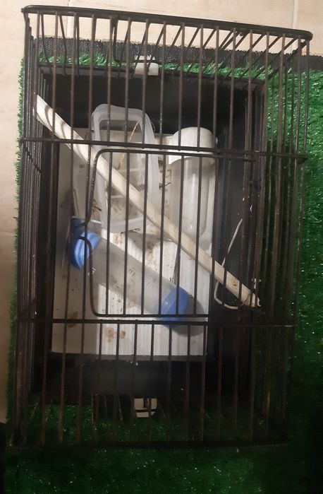 Gaiola pequena   para seu passarinho