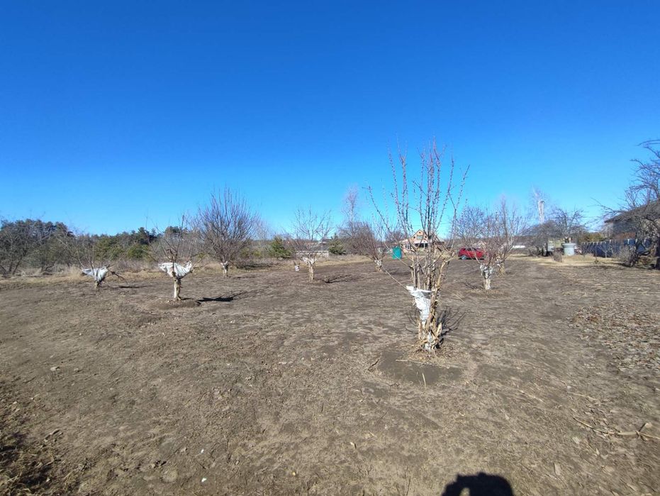 Продаж земельної ділянки під забудову, с. Терентіївка, 15 соток!