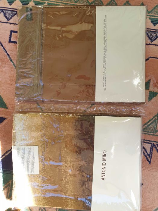 LAMEIRINHO Conjunto lençol e capa edredom dulpa face cama casal novo