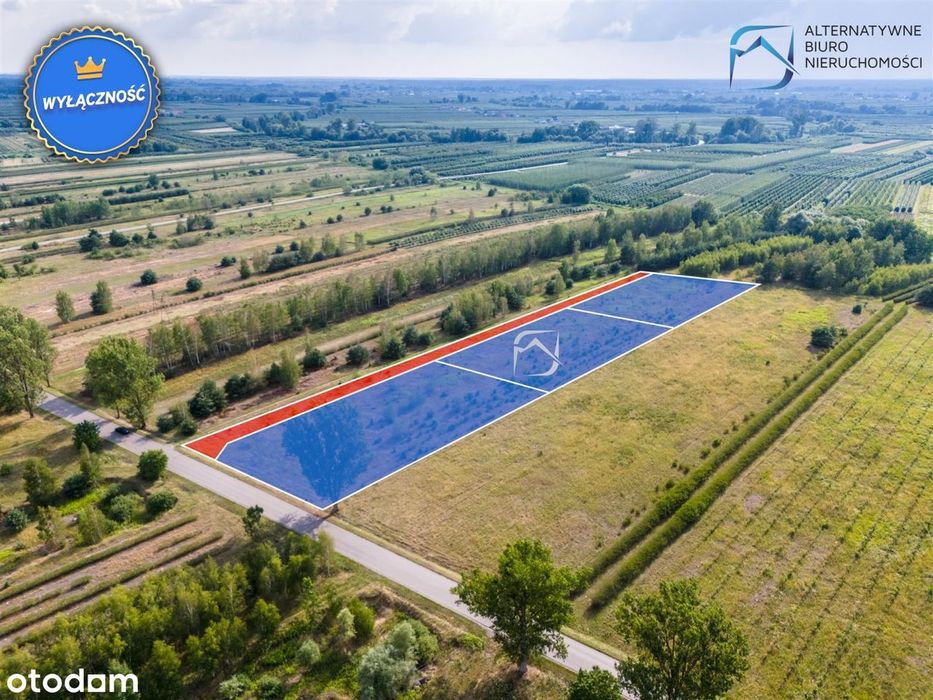 Ustawny grunt rolny - Niedźwiada Duża gm Łaziska - Widok 5