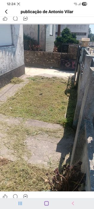 Serviços de jardinagem