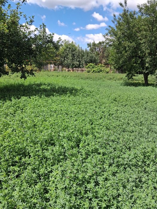 Продам цегляний будинок в Дергачах, район стадиону. Сертифікат так.