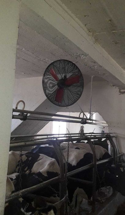 Wentylator oborowy Multifan - mieszacz powietrza koszowy