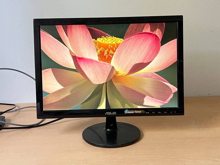 Монітор ASUS / 19 дюймів / HD+ / TN