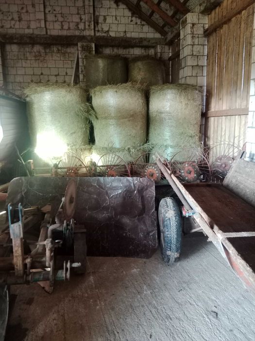 Siano kostka 7zl /baloty 150