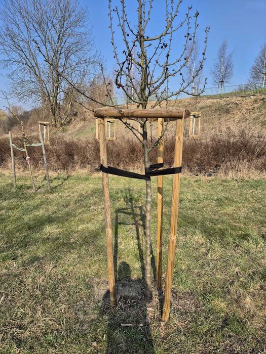 Palik do drzewek 5x250 cm Impregnowana Podpora Palisada do Nasadzeń