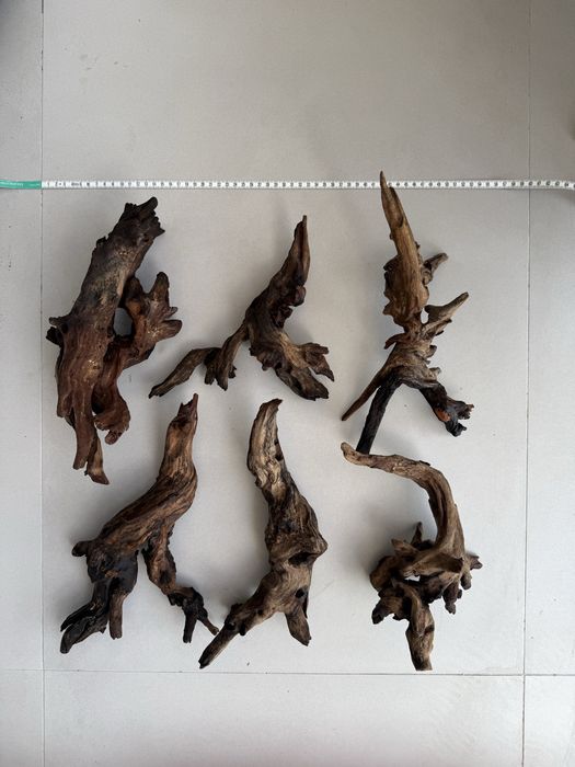 Drift wood aquario