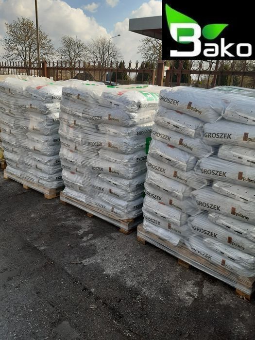 Groszek popularny, worki 25kg