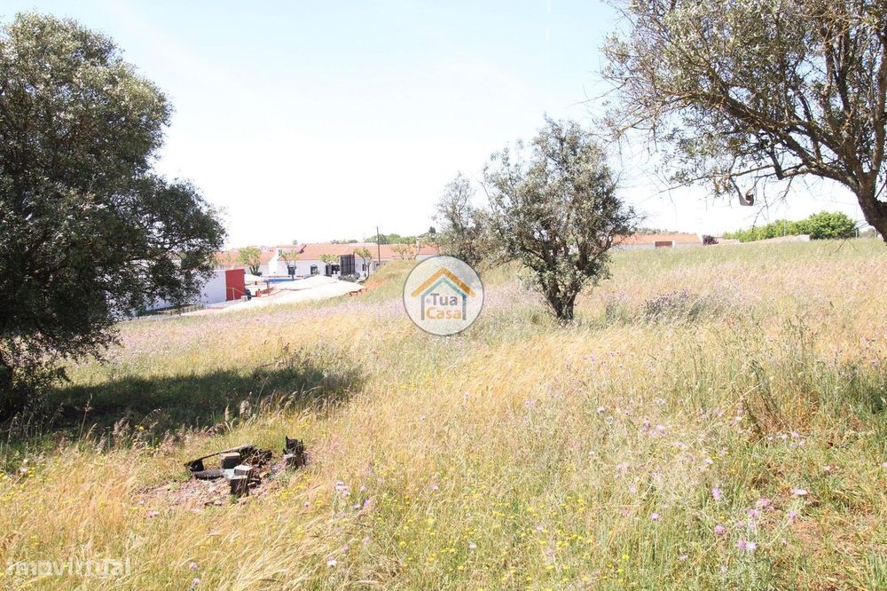 12,500 m2 Plot with Construction Feasibility for Various Purposes