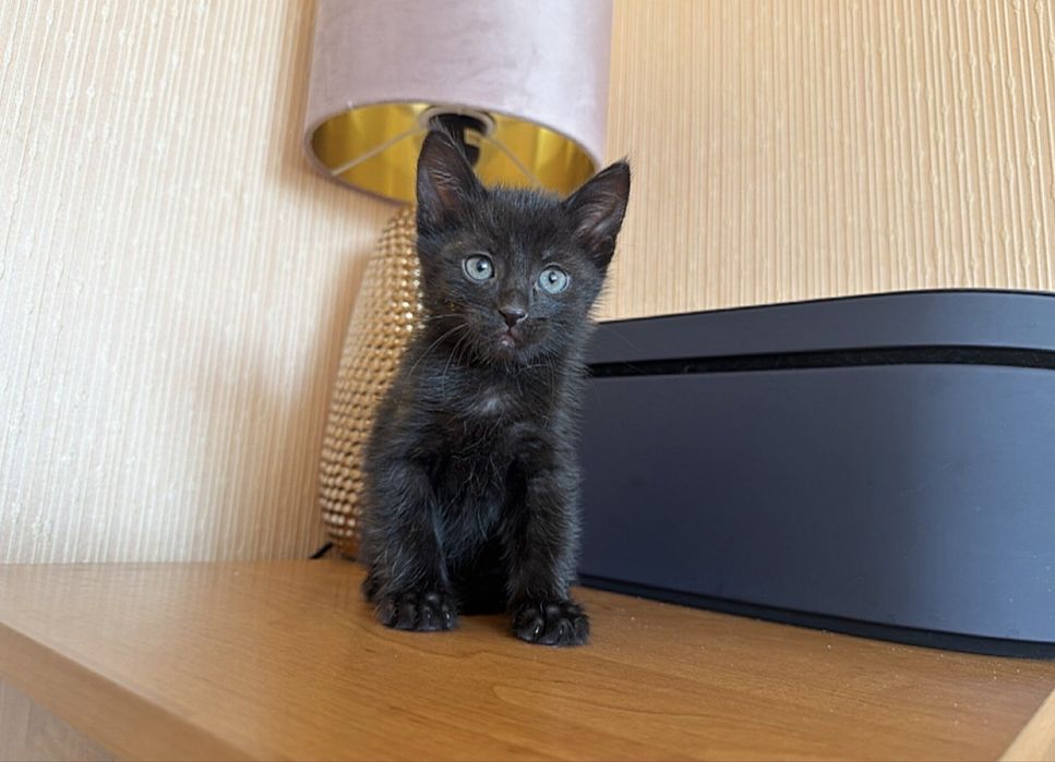 7 Чудо света )