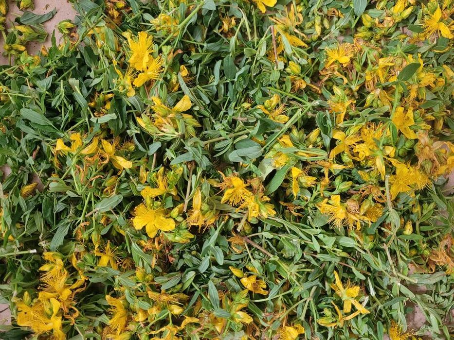 Ziele dziurawca suszone 40gram