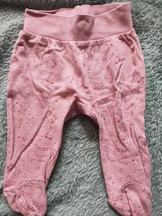 Półśpiochy niemowlęce