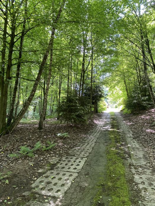 Domek do wynajęcia