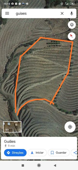 Vinhas no Douro com benefício