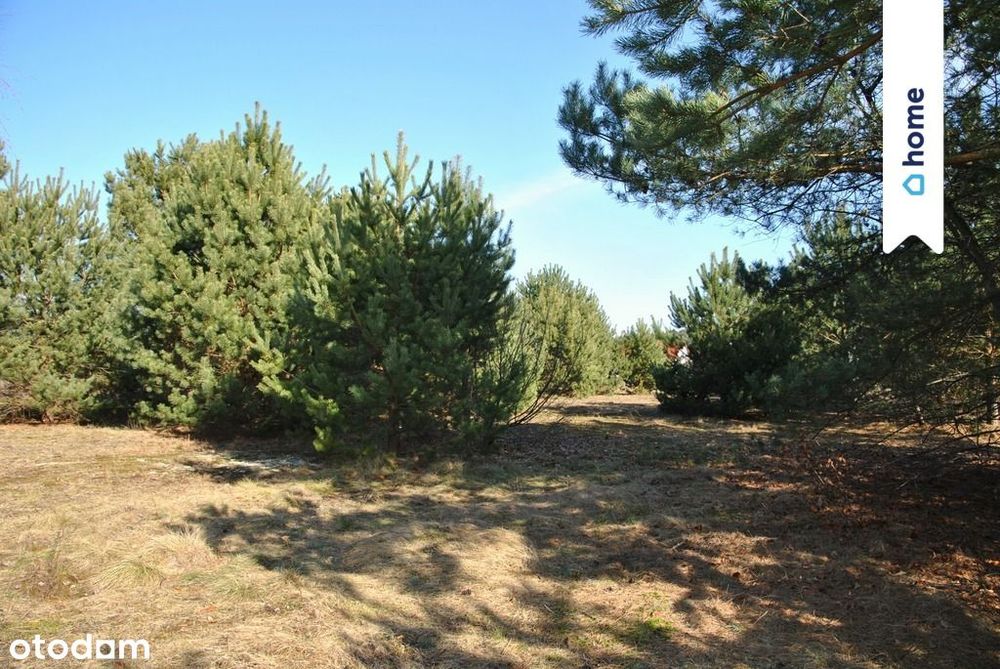 Działka 1049 m2 nad Zalewem Koronowskim