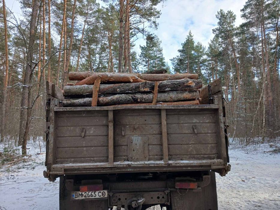 Дрова Лебедин, доставка ЗІЛ