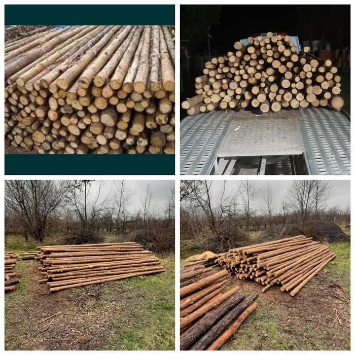 Stemple drewniane różne długości z transportem słupki ogrodzeniowe