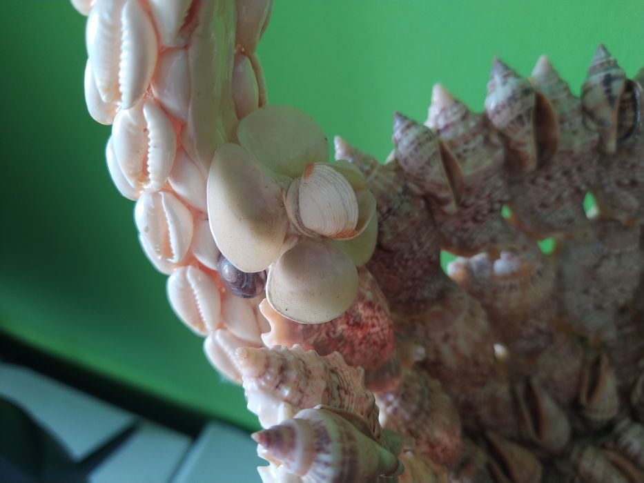 Cesto de búzios e conchas artesanal casa quarto apartamento vivenda.