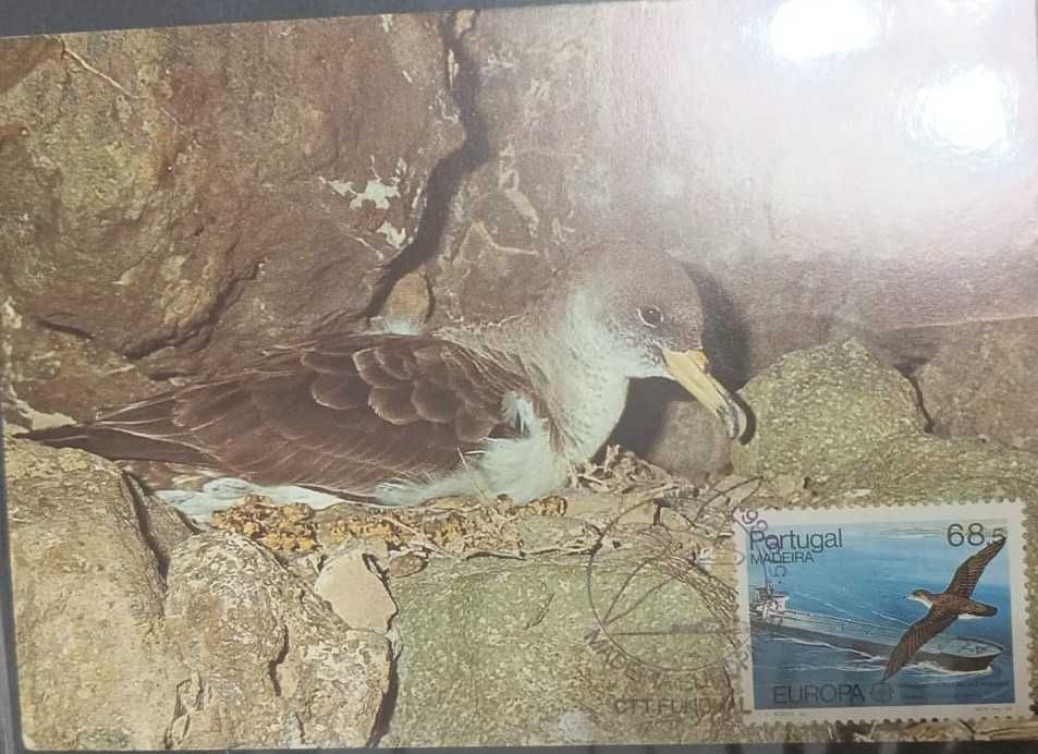 Postal Máximo Conservação Natureza Madeira