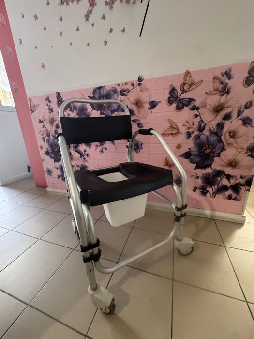 Cadeira sanitaria