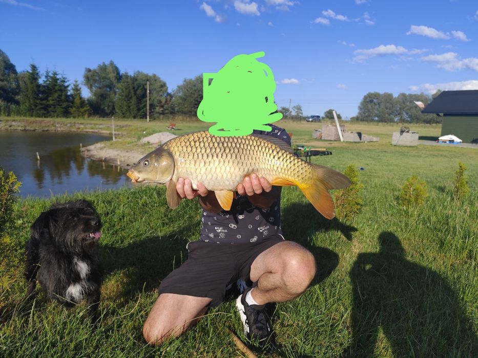 Domek letniskowy z łowiskiem. Całoroczny. 10km od Kwidzyna