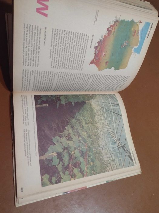 Encyklopedia dla dzieci