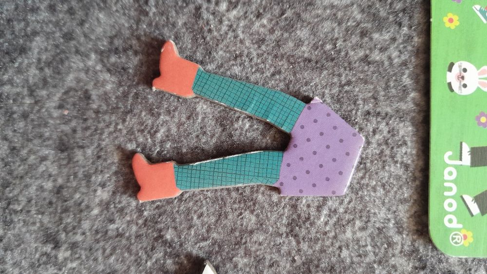 Magneti' book janod pory roku