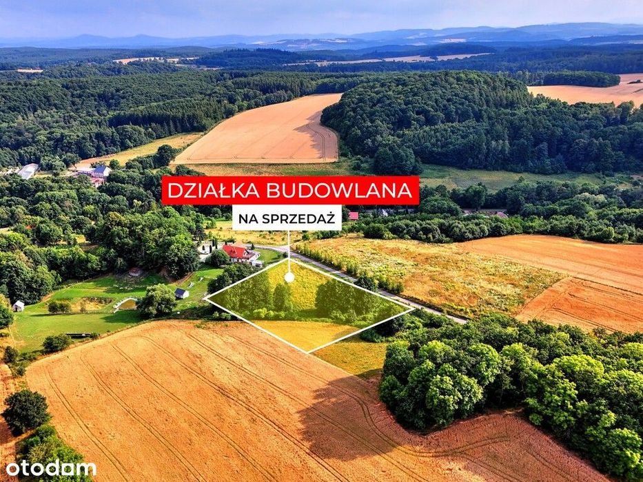 Myślinów | okolice Jawora